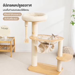 ไม้แมวคอนโดแมว ตัวคอนโดแมวใหญ่ กรอบปีนแมว โครงปีนแมว คอนโดแมว cat tree tower พร้อมโดมนอนแบบใส บ้านแมว ทนต่อการขีดข่วน