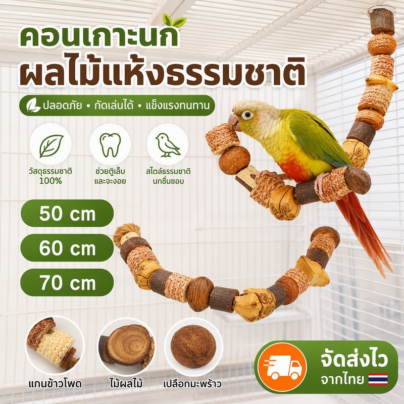 ของเล่นนกแก้ว ปีนป่ายและกัด แท่งของเล่นผลไม้แห้ง ขัดฟันและดูแลฟัน เหมาะสำหรับนกแก้วมู่หลาน เสริมทักษะ อุปกรณ์เสริมกรงนก
