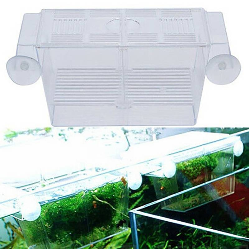 (ใหม่) Aquarium Fish Tank Guppy Double Breeding Breeder Rearing Trap Box Hatchery