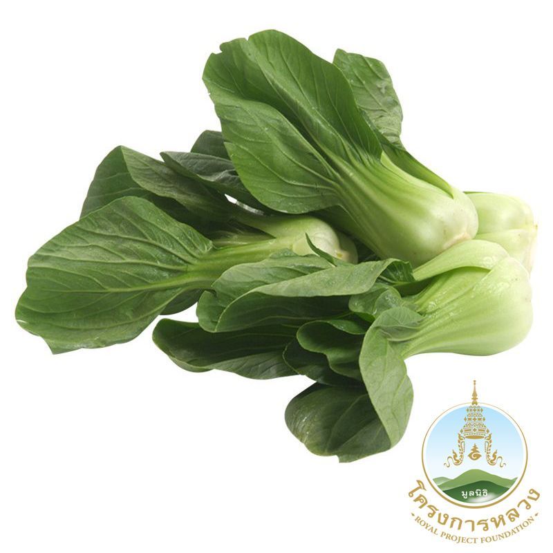 โครงการหลวงเบบี้ฮ่องเต้ออร์แกนิค 200กรัม Royal Project Organic Baby Bok Choy 200g. [หมายเลขบาร์โค้ด 0000033889023 ]
