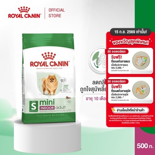 Royal Canin Mini Indoor Adult 500g อาหารเม็ดสุนัขโต พันธุ์เล็ก เลี้ยงในบ้าน อายุ10เดือน-8ปี (Dry Dog