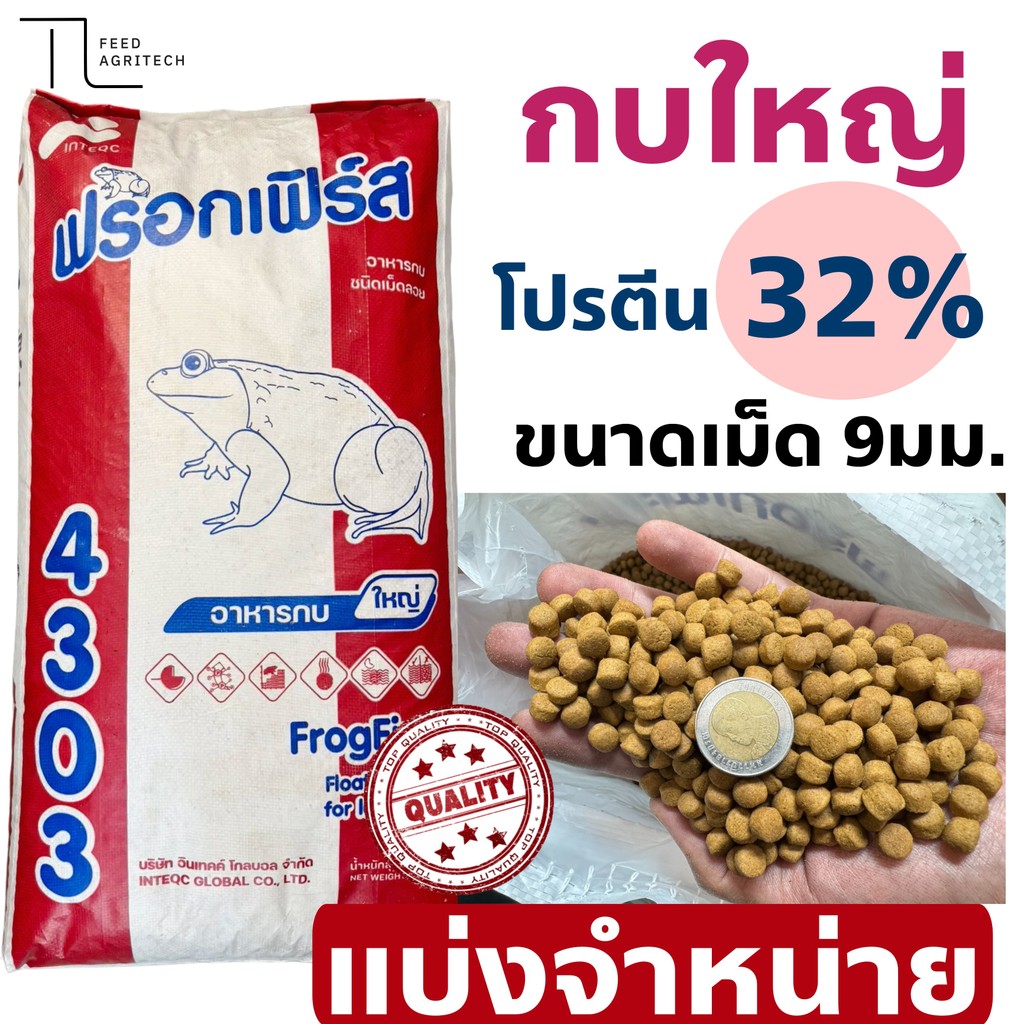 (สูตรน้ำไม่มัน ไม่เสียง่าย) อาหารกบ ฟร็อกเฟิร์ส กบใหญ่ โปรตีน 32% 4303  เม็ดใหญ่  แบ่ง 1 kg.