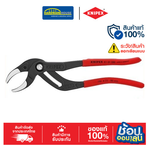 คีมคอม้า ระดับมืออาชีพ 8101250SB KNIPEX
