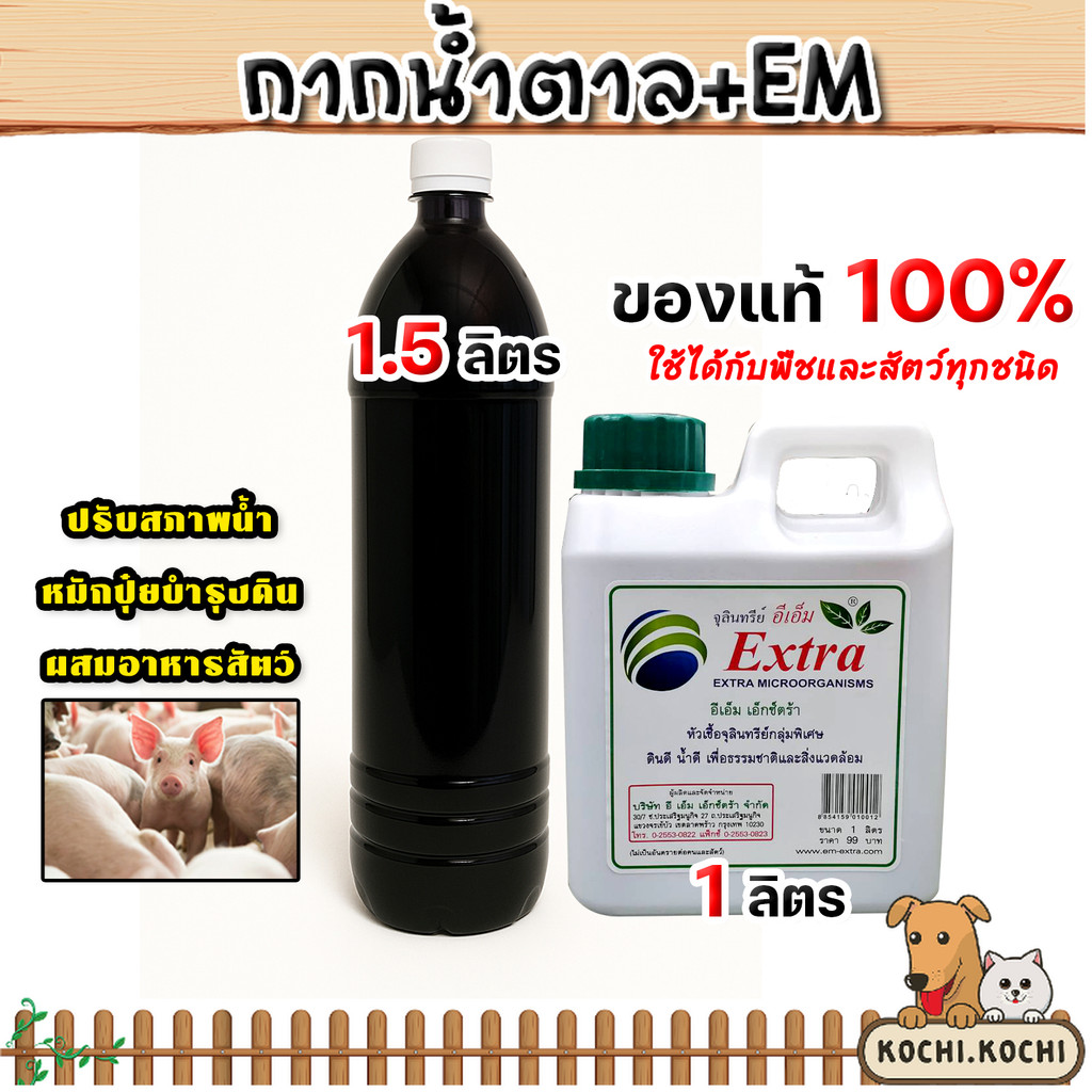 มีให้เลือก ชุด กากน้ำตาล+จุลินทรีย์ EM ทำน้ำหมัก หมักปุ๋ย ผสมอาหารสัตว์ บำบัดน้ำเสีย  การปศุสัตว์  ส่งด่วน! ส่งไว ถูก