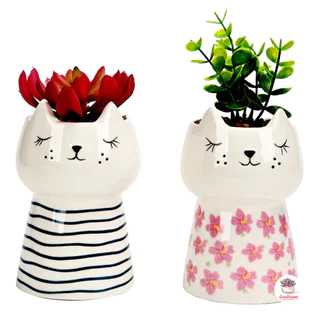 กระถางเซรามิค แมวเหมียวแก้มจุด กระถางต้นไม้ แคคตัส กระบองเพชร ไม้อวบน้ำ Cactus&Succulent