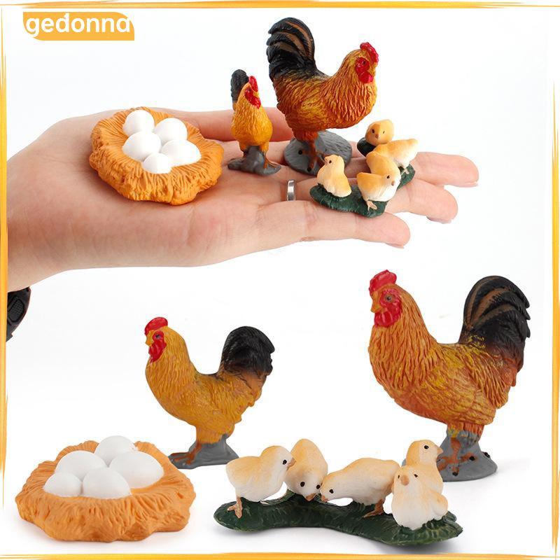 [gedonna] Animal Chicken Life Cycle Growth Cycle Model Hen Rooster Figures for Kids