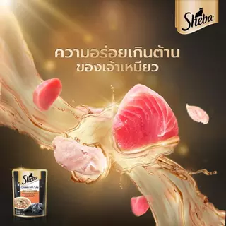Sheba ชีบา อาหารเปียกแมว เกรดพรีเมี่ยม ขนาด 70 กรัม [ยกโหล 12 ซอง]