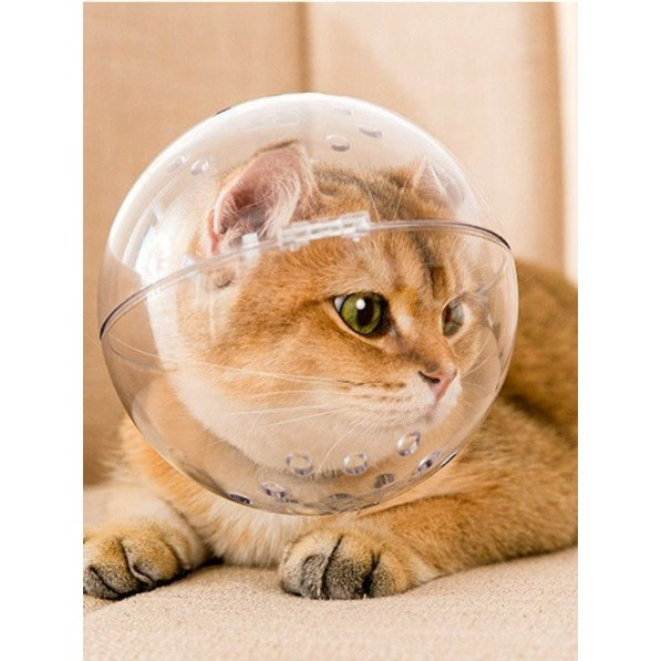 "Local Stock" Cat Muzzle Cat Transparent Muzzle Breathable Cat Hood Adjustable Kitten Astronaut Helm