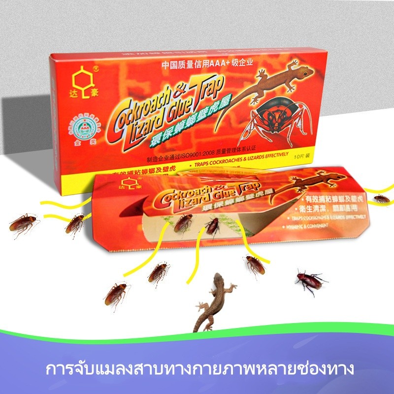 บ้านแมลงสาบ ดักจิ้งจก ดักแมลงสาบ กาวดักแมลงสาบ ที่ดักแมลงสาบ กับดักแมลงสาบ