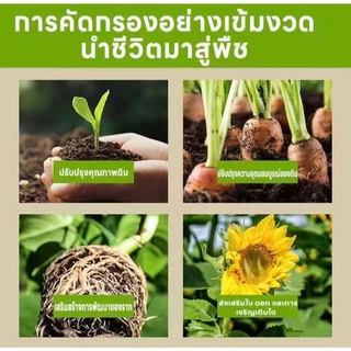 [ซื้อ1แถม1] ปุ๋ยกระตุ้นดิน สารปรับปรุงดิน บำรุงราก ปรับค่า pH ดิน ช่วยให้ดินร่วนซุย ใช้ได้กับผัก ดอกไม้ ไม้ผล มีแบบกระปุ