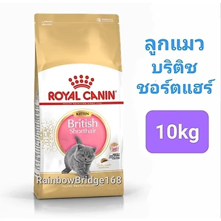 Royal Canin British Shorthair Kitten 10kg / British Shorthair Adult 10kg อาหารแมวโต ลูกแมวบริติช 10 กก.