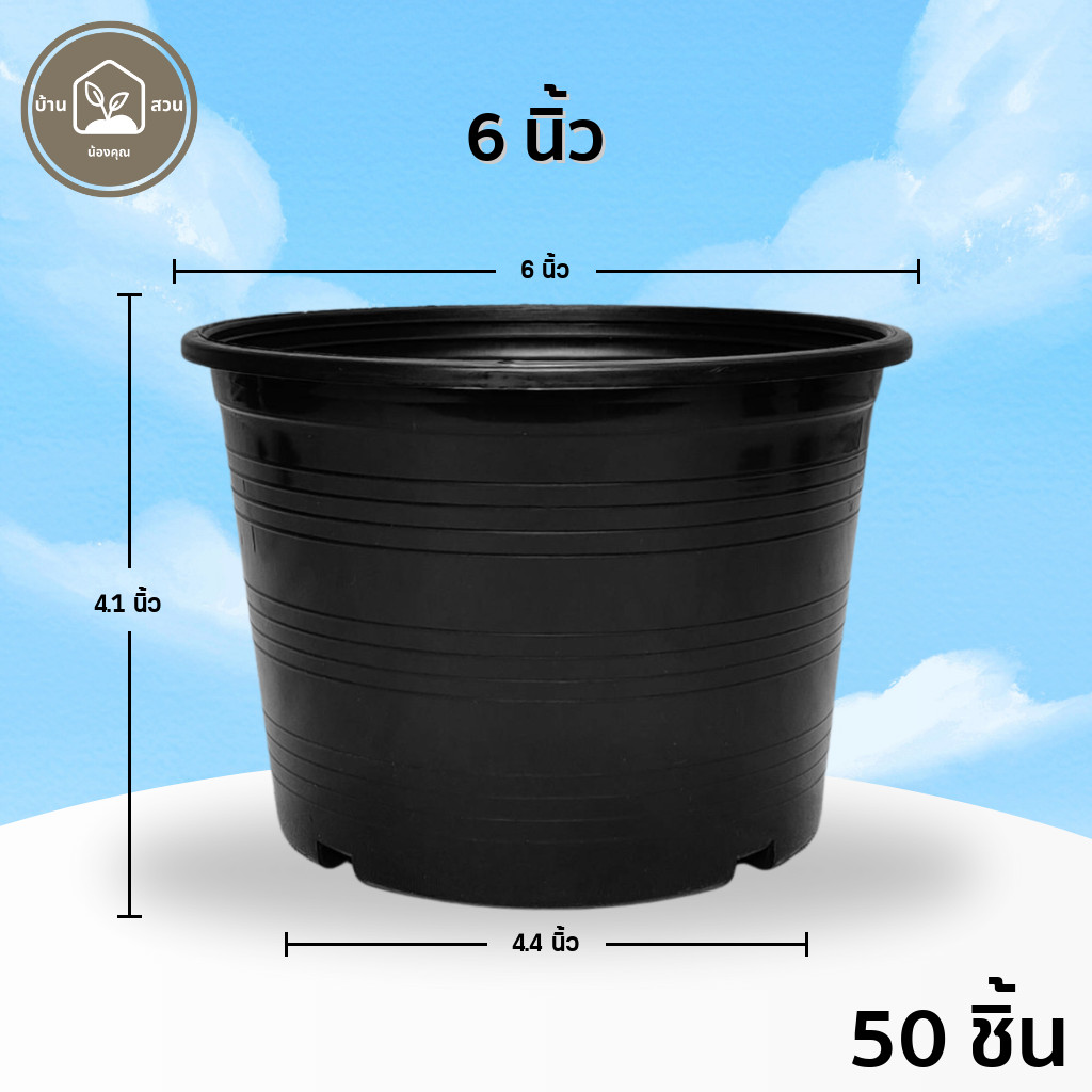 (10ใบ) (50ใบ) กระถางดำ 6 นิ้ว พลาสติก