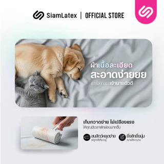SiamLatex ชุดเครื่องนอน รุ่น Glada (ชุดเครื่องนอน/ผ้าปูเท่านั้น) ผ้าปูที่นอน ปลอกหมอน ปลอกหมอนข้าง