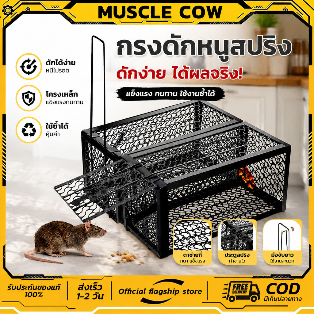 MUSCLE COW กรงดักหนูสปริง2ตัวโครงหนา กรงดักหนู กรงดักหนูแบบมีโครง กรงดักหนูสปริงคู่ กรงดักหนูนา กรงดักหนูเล็ก