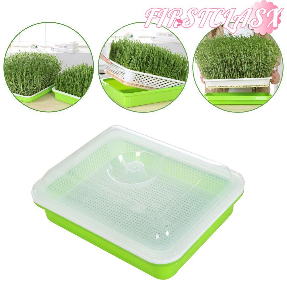 FIRSTCLAX Grow Nursery Pots Outdoor Indoor Nursery Paper Plant Box