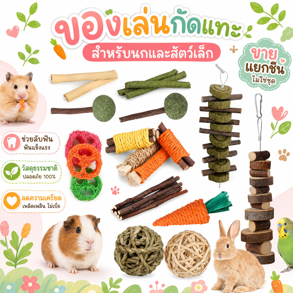 เซ็ตลับฟัน ไม้ลับฟันสัตว์เลี้ยง ของเล่นสำหรับลับฟัน ไม้แอปเปิ้ล ลูกสน ไผ่หวาน ลับฟัน แฮมสเตอร์ ชินชิลล่า กระต่าย