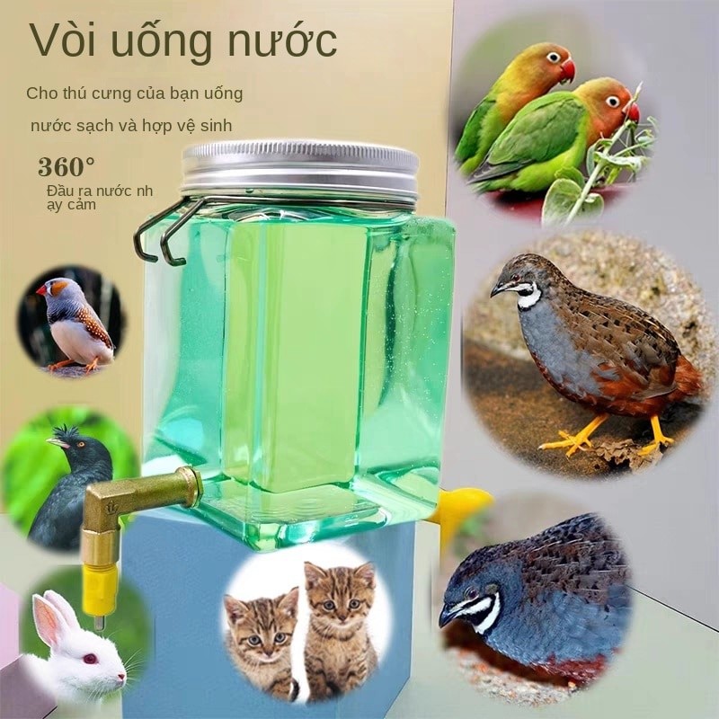 Rutin เครื่องดื่มน้ําอัตโนมัติสําหรับไก่ rutin ดื่มอัตโนมัติสําหรับ Chicks เครื่องดื่มอัตโนมัติสําหร