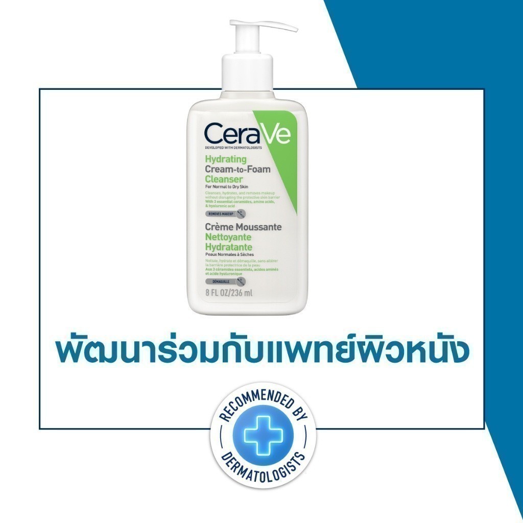 รูปภาพ 7