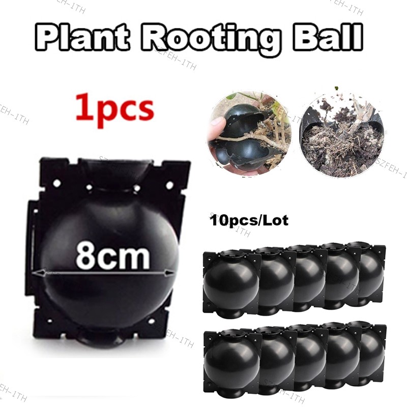 10 ชิ้น Rooting พืชกล่อง 8 ซม.แรงดันสูง Propagation Ball Grafting อุปกรณ์สวน Grafting พืช Root Contr