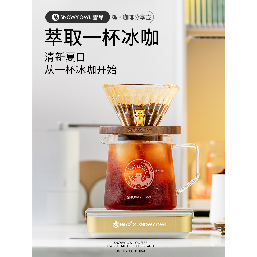 SNOWY OWL SNOWY OWL Hand-Brewed Coffee Sharing Pot Set แก้วทนความร้อนหม้อกาแฟ Brewing Pot