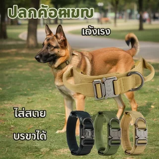 ปลอกคอสุนัขปรับไนลอน Heavy Duty หัวเข็มขัดโลหะเบาะจับขนาดกลางขนาดใหญ่สุนัข ML XL
