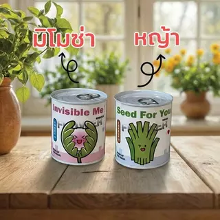ชุดปลูกพืชในกระป๋อง | 15 สายพันธุ์ | ปลูกง่าย มือใหม่ก็ปลูกได้