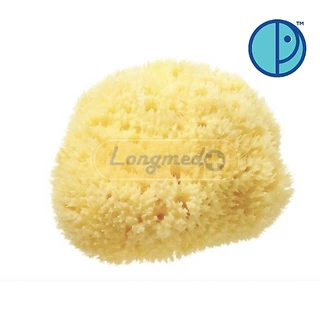 ฟองน้ำอนามัย ลูกเจี๊ยบ ใช้ทางการแพทย์ เอนกประสงค์ LONGMED BECARE Natural Sponge ฟองน้ำลูกเจี๊ยบ แท้ธรรมชาติ