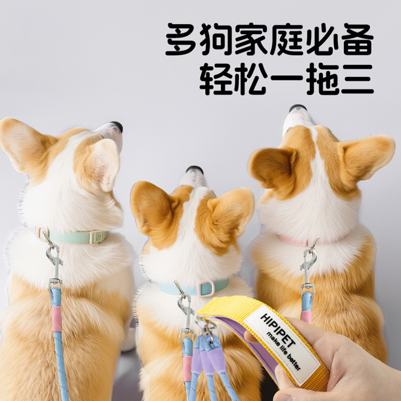 สินค้าใหม่ Outing Fashion Contrast Color One-to-More Nylon Leash Dog Walking Leash Small Medium-Size