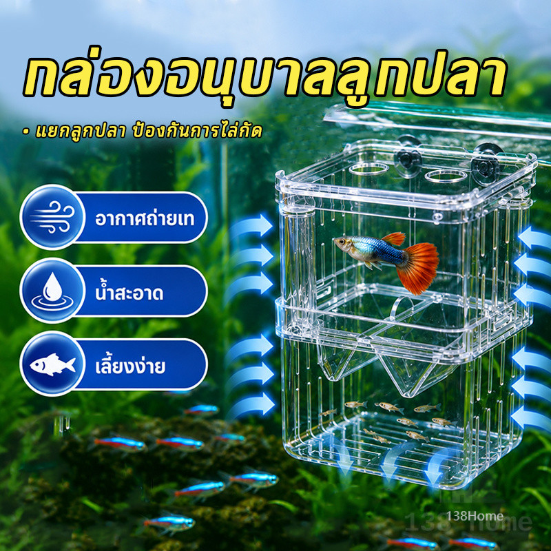 กล่องแยกปลา ตู้แยกปลาคลอดลูก กล่องแยกลูกปลาสองชั้น มองเห็นปลาชัดเจน สุญญากาศยึดติดตู้ปลาได้แน่น แยกได้ 2 ช่อง สีใส