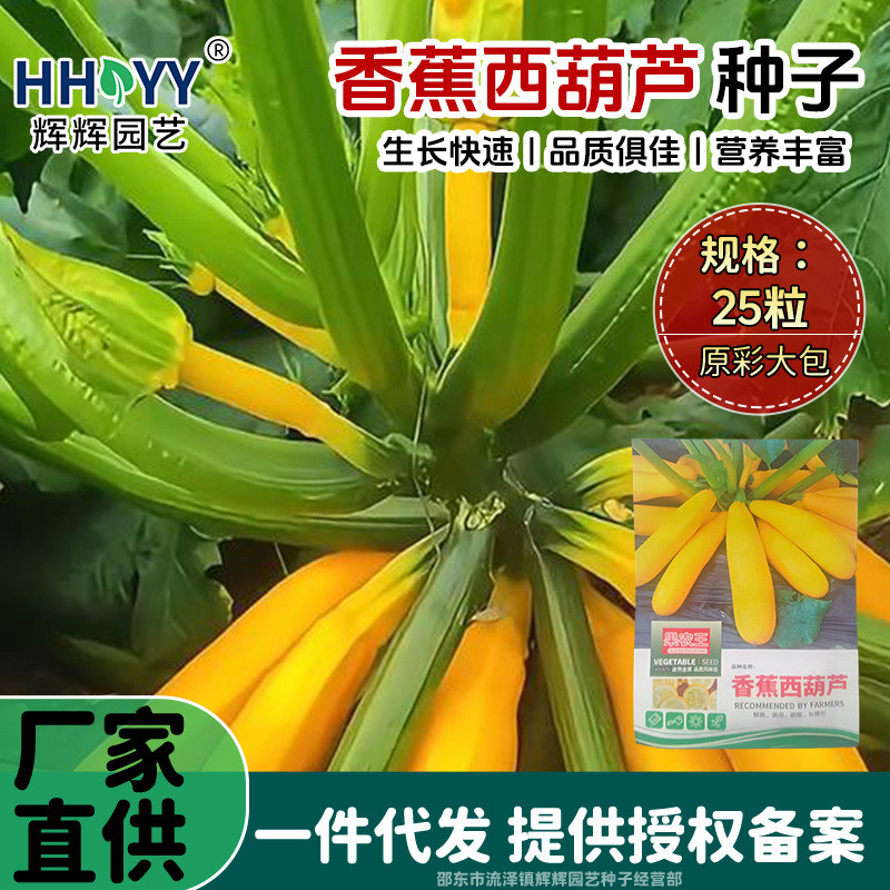 现货热卖现货香蕉西葫芦种子黄皮菜瓜种籽春秋农家小院四季蔬菜种子In stock: banana zucchini seeds, yellow-skinned melon seeds20260726