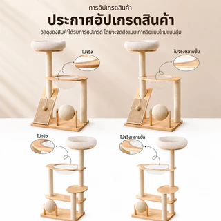 คอนโดแมวไม้ พร้อมโดมนอนแบบใส คอนโดแมว ตัวคอนโดแมวใหญ่ condoแมว กรอบปีนแมว โครงปีนแมว แคปซูลอวกาศ บ้านแมว คอนโดแมวไม้จริง
