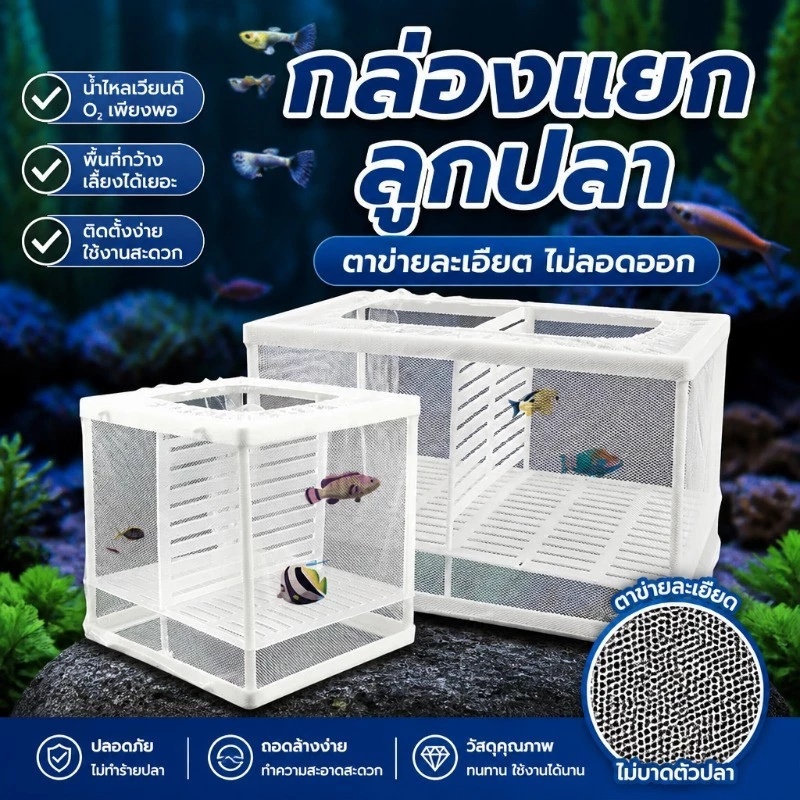 🐟กล่องตะข่ายแยกปลาลูกปลาขนาน เพาะพันธุ์ปลา กล่องฟักไข่ ตู้ฟักไข่ปลา แบบตาข่าย กล่องแยกปลา