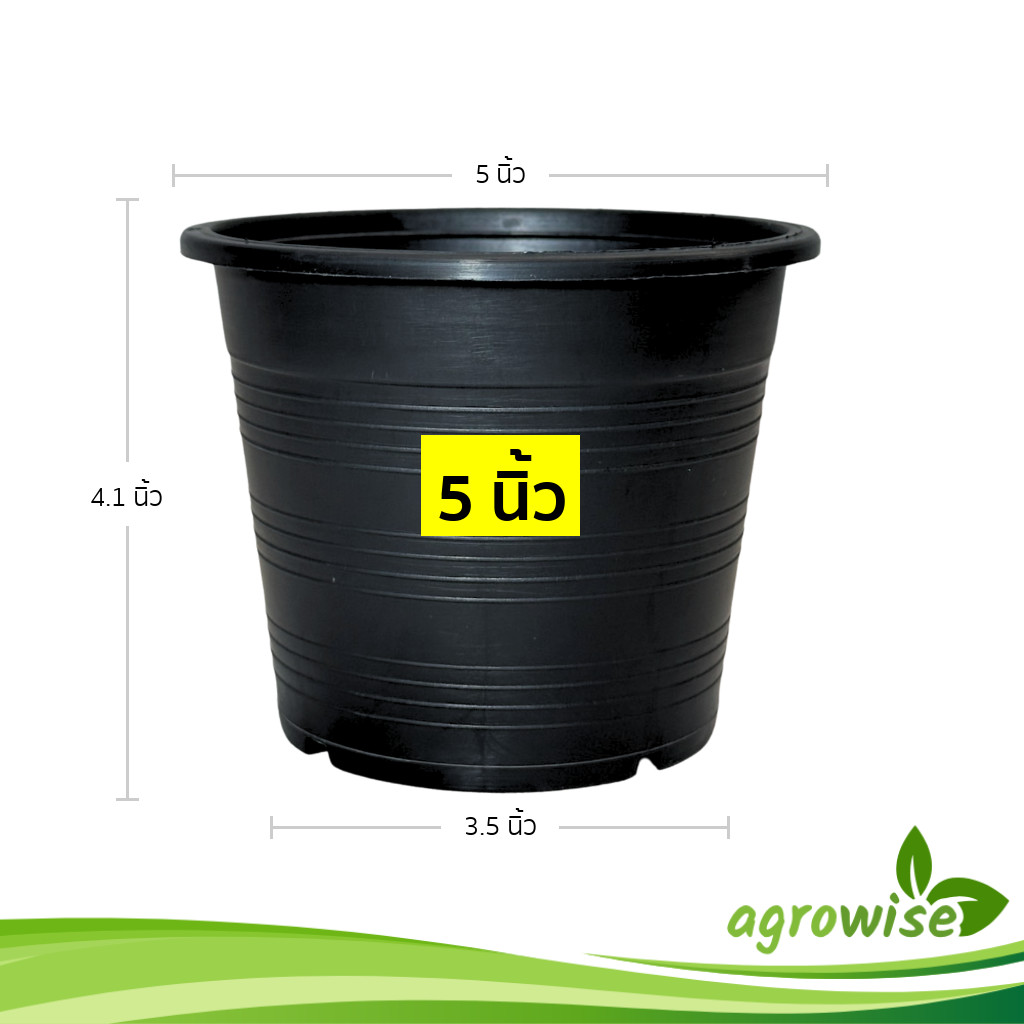 กระถาง กระถางต้นไม้ กระถางใส เบอร์ 6 นิ้ว สีใส 10 25 ใบ ชิ้น ยกมัด