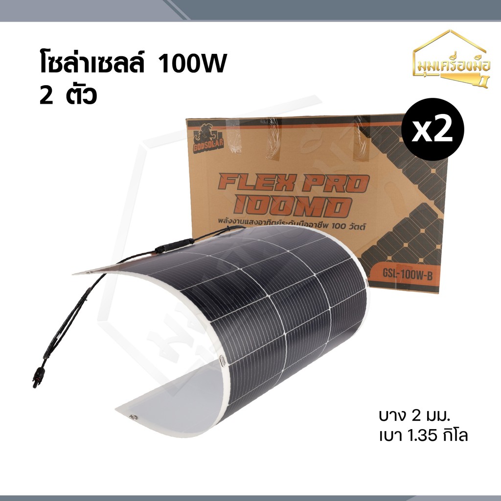 GODSORAL แผงโซล่าเซลล์ 100W-250W  แบบ 2 แผง