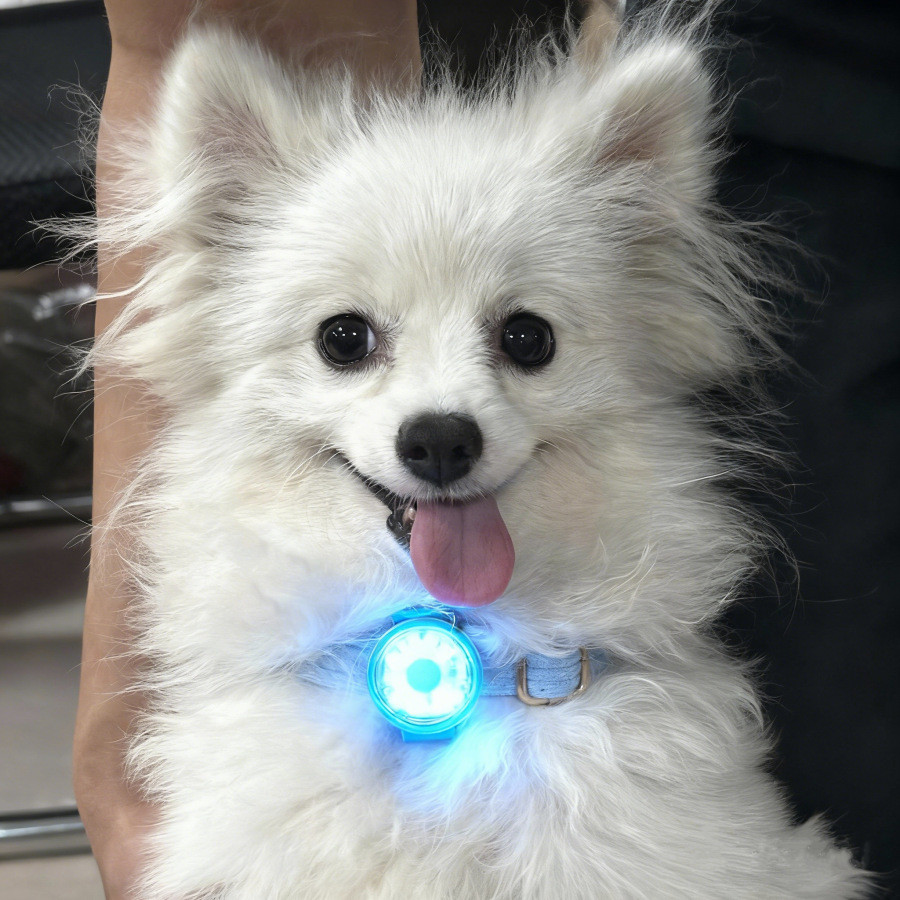 ขายร้อนสัตว์เลี้ยง Luminous Light ไฟสุนัขเดิน Outing Anti-Lost Dog Night Walking Light led Luminous 