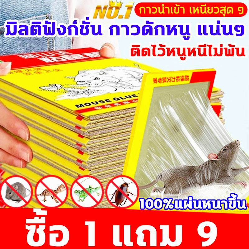 กาวดักหนูุ ซื้อ1แถม10 กาว ดัก หนู กาวดักหนู แน่นๆ กาวดักหนู ถาด กาวดักหนูแผ่นใหญ่