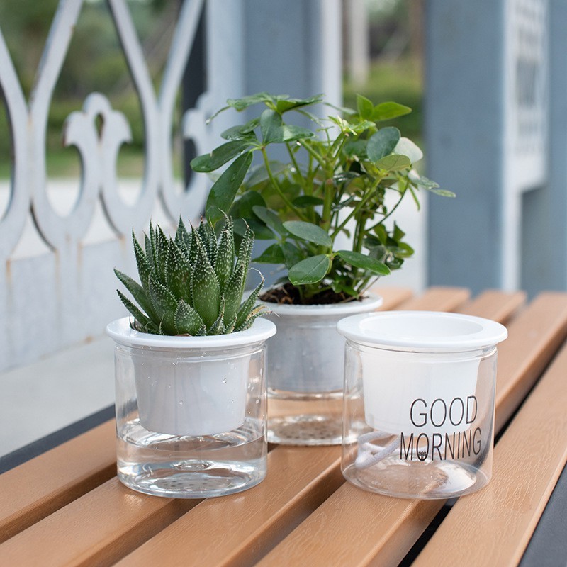 Greengarden กระถาง กระถางต้นไม้แบบใส กระถาง2ชั้น เก็บน้ำได้ รดน้ำอัตโนมัติ รุ่น 5289