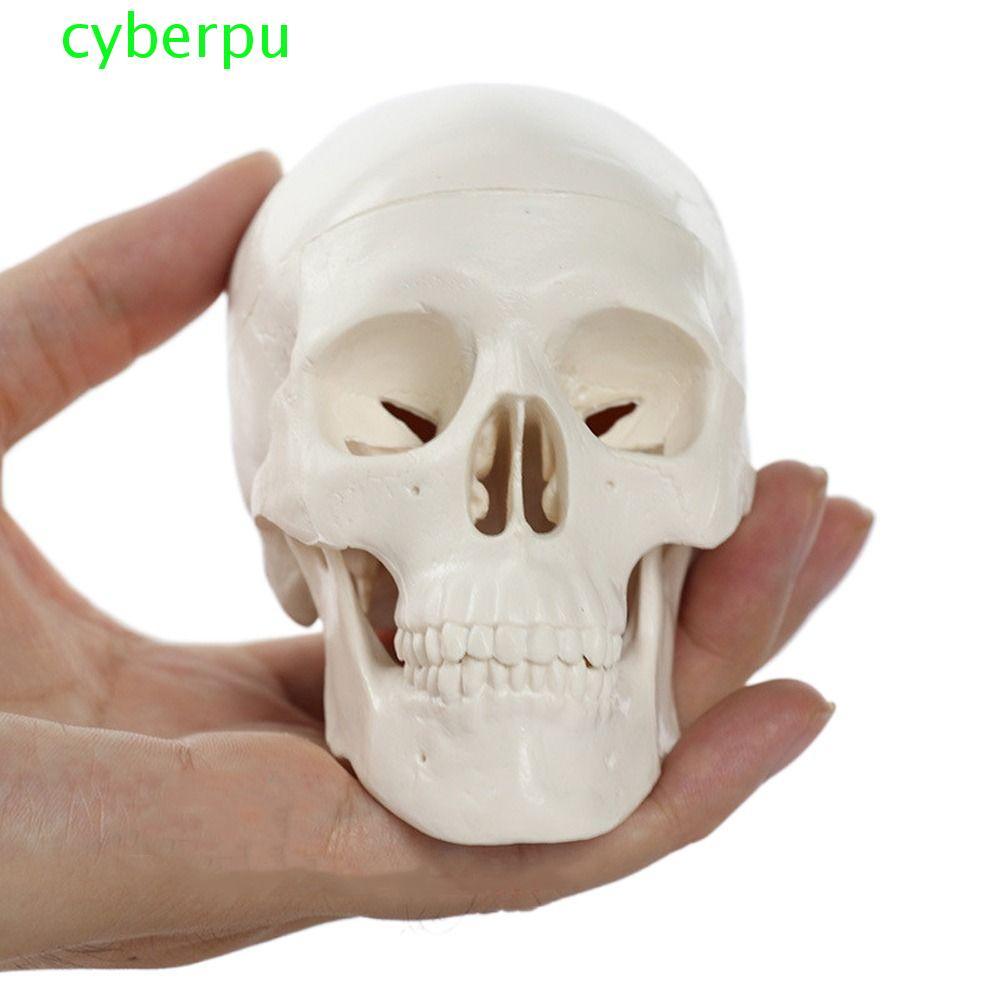 CYBERPULSE Skull Model, โมเดลหัวมนุษย์ศึกษาแบบถอดได้, 92x99x71mm Skull Cap Mini Resinกายวิภาคหัว Sku