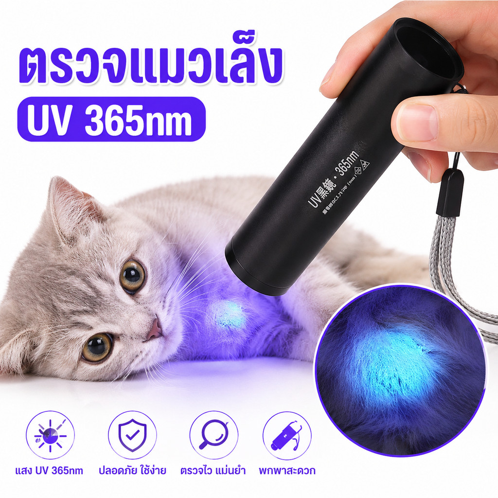 พร้อมส่ง! ไฟฉาย UV 365nm LED ตรวจปัสสาวะสัตว์เลี้ยง ตรวจเชื้อราแมว ชาร์จ USB Blacklight พกพาง่าย