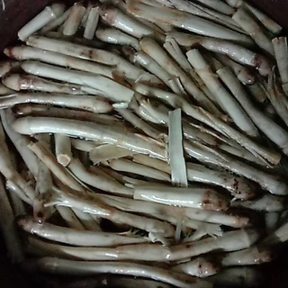 เชื้อเห็ดโคนปลวกดอกใหญ่ เชื้อเห็ดเข้มข้น ขนาด 500 มล.