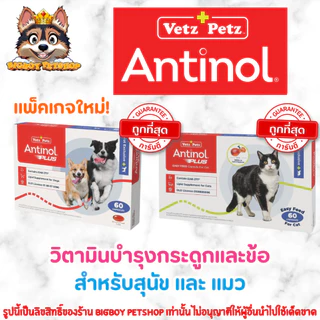 Antinol 60 แคปซูล ของแท้!! แพ็คเกจใหม่ อาหารเสริมบำรุงข้อ ข้ออักเสบ 1 กล่องบรรจุ 60 เม็ด
