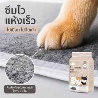 SKISOPGO แผ่นรองฉี่สุนัข รุ่นชาโคล แผ่นรองฉี่แมว ช่วยฝึกขับถ่าย การดูดซับน้ำ6ชั้น ระงับกลิ่นได้ดี