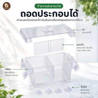 กล่องแยกปลา กล่องอนุบาลปลา ผสมพันธุ์ปลา แยกแม่ปลาและลูกปลา ติดกระจกด้วยจุ๊บดูด สำหรับเลี้ยงหรือแยกปลา