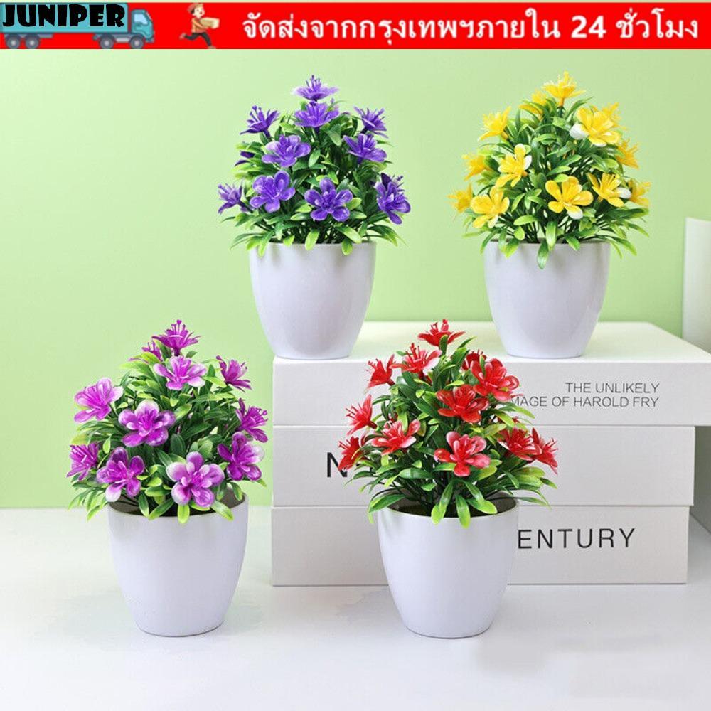 JUNIPER ในกระถางสํานักงานพืชประดิษฐ์ต้นไม้หม้อพืชพืชขนาดเล็ก