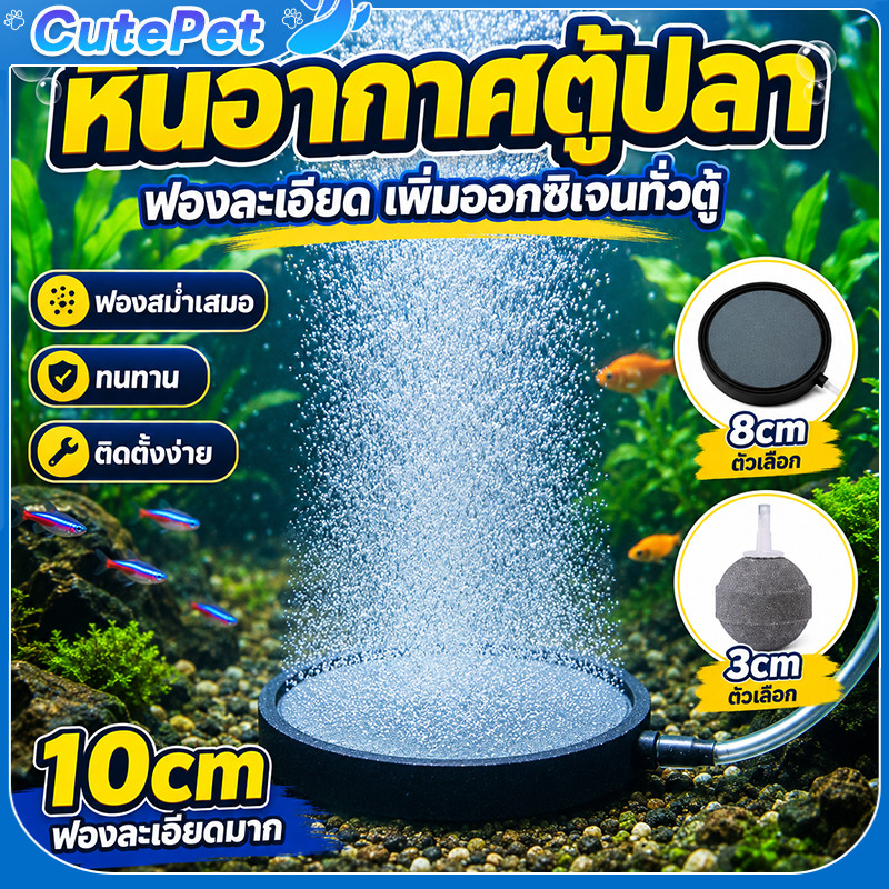 จานหินอากาศตู้ปลา หินอากาศฟองละเอียด หัวทรายเพิ่มออกซิเจน ฟองสวยละเอียด เพิ่มออกซิเจน เหมาะเลี้ยงปลาสวยงาม