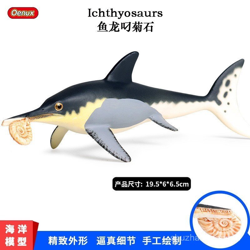 เด็กของแข็งจําลองมหาสมุทรรุ่นปลามังกร Ammonite Mosasaurus