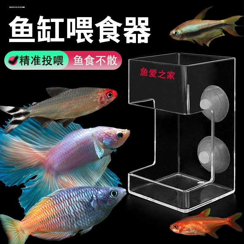 Fish Fish Fish Tank Feeding Handy Tool Fish Feeding Turtle Food Automatic Feeding Small Guppy Small 