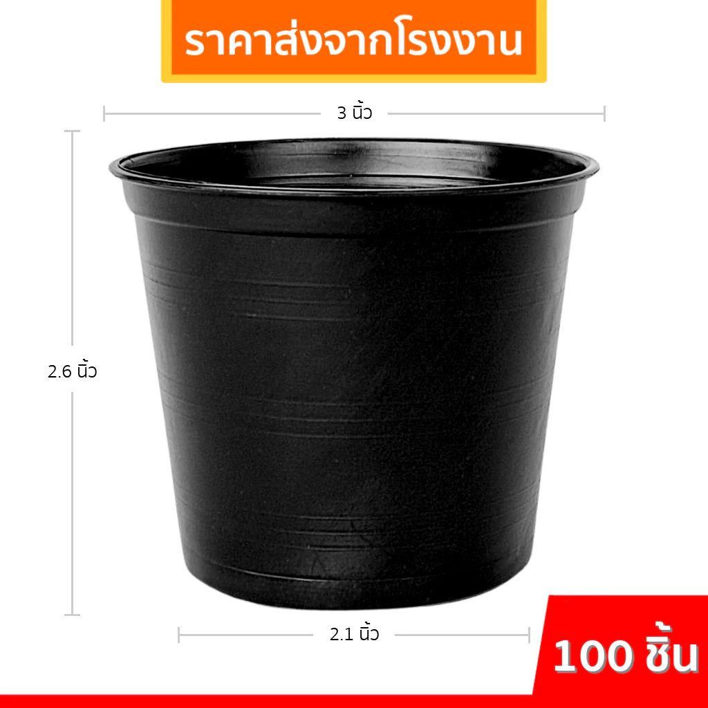 กระถางต้นไม้พลาสติก กระถางต้นไม้ กระถาง 2 2.5 3 4 5.5 6 8 9 นิ้ว ราคาส่ง thumbnail 4