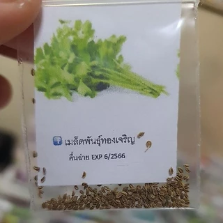 คื่นช่ายยย🎯ถูกที่สุด 9 บ.📌เมล็ดพันธุ์คื่นช่าย200 เมล็ด🎈งอกง่าย🌱โตไว☘️พุ่มใหญ่🌱ทานอร่อย