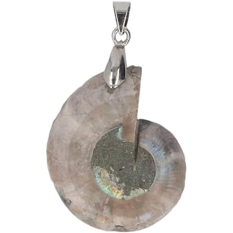 Haofy Ammonite Shell Pendant, Handcrafted Spiral Polishing ลูกปัดอัญมณีธรรมชาติที่ไม่ซ้ํากัน Ammonit